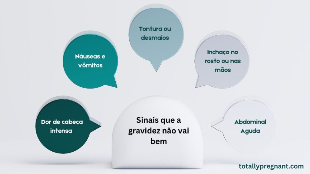 5 Sinais Que Podem Indicar Problemas na Gravidez. Infographic