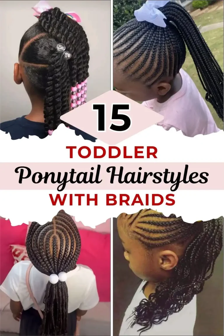 15 Toddler Ponytail Hairstyles with Braids
